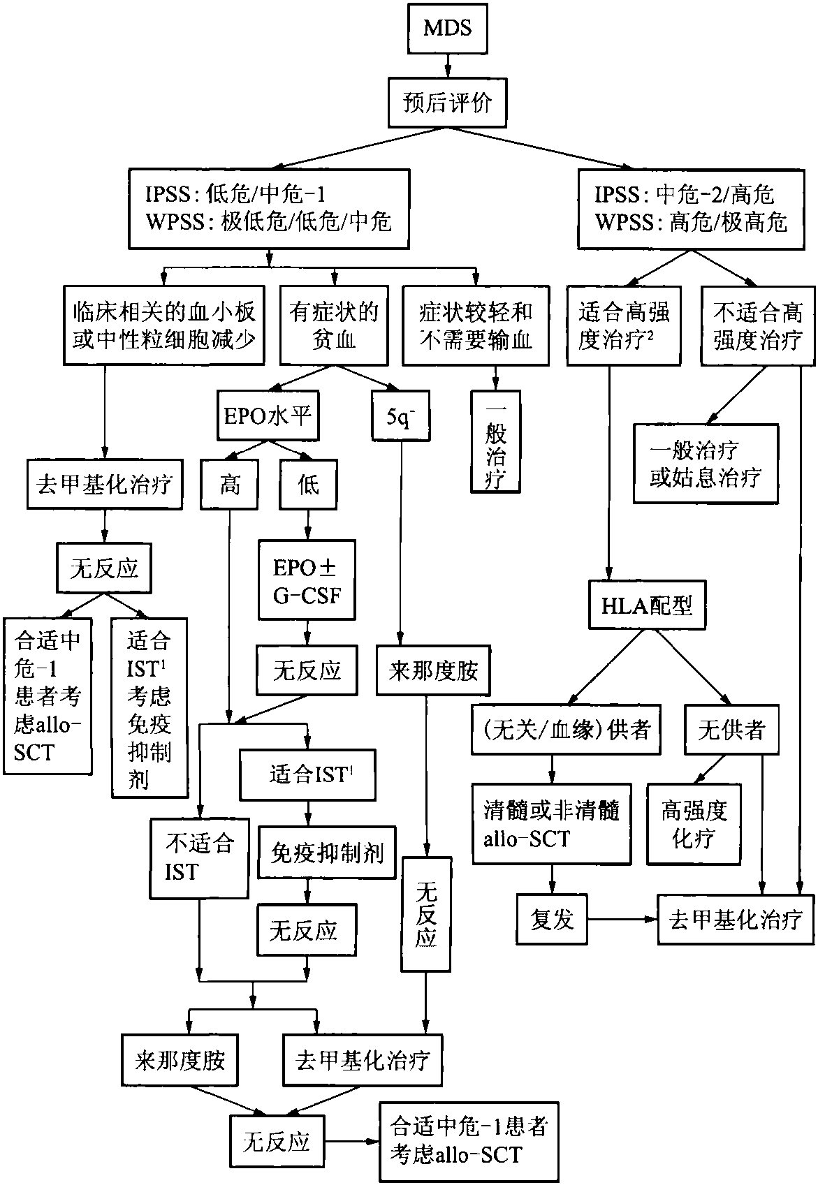 第二十三章 骨髓增生異常綜合征